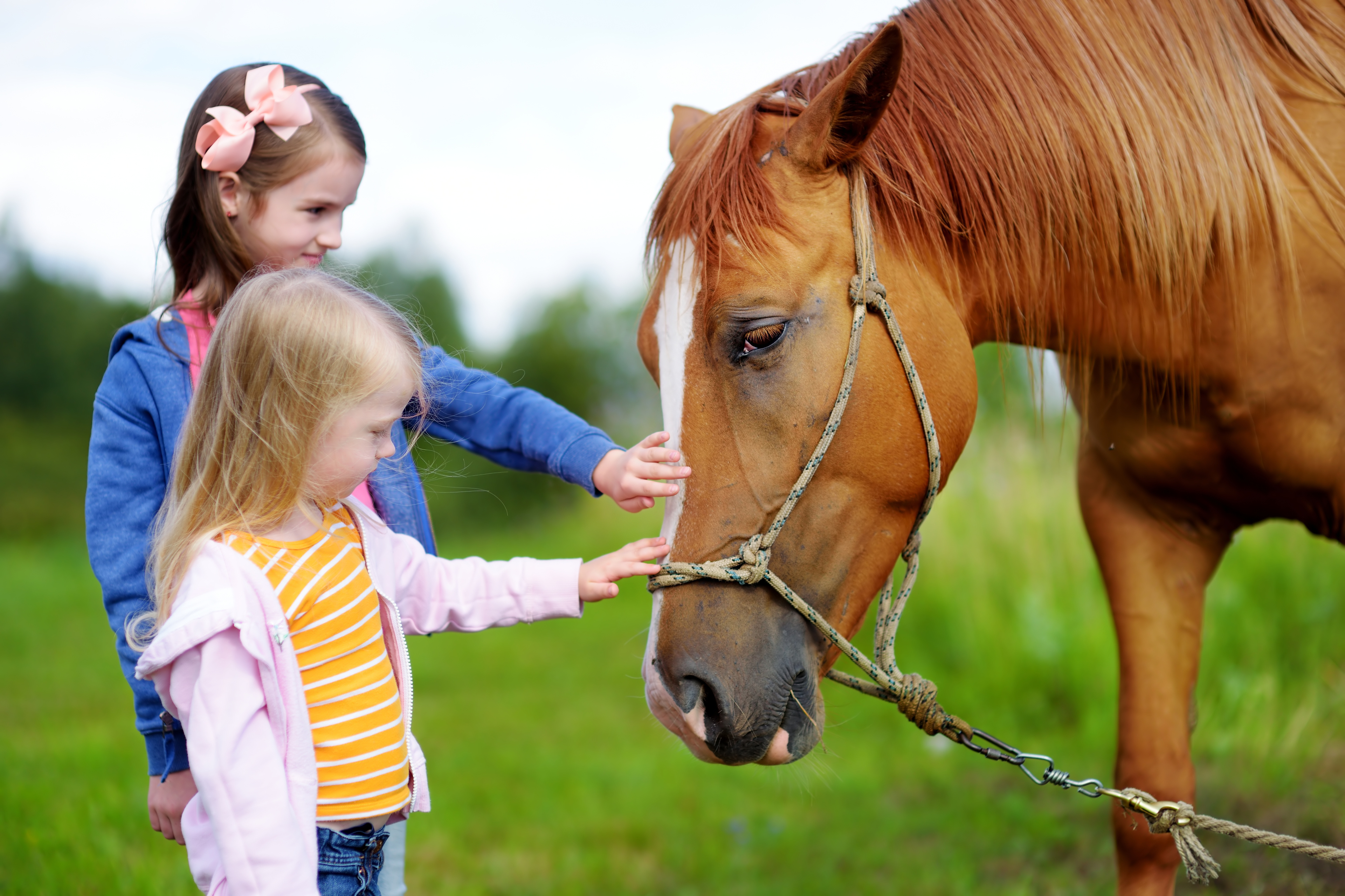 zwei Mädchen streicheln ein Pferd