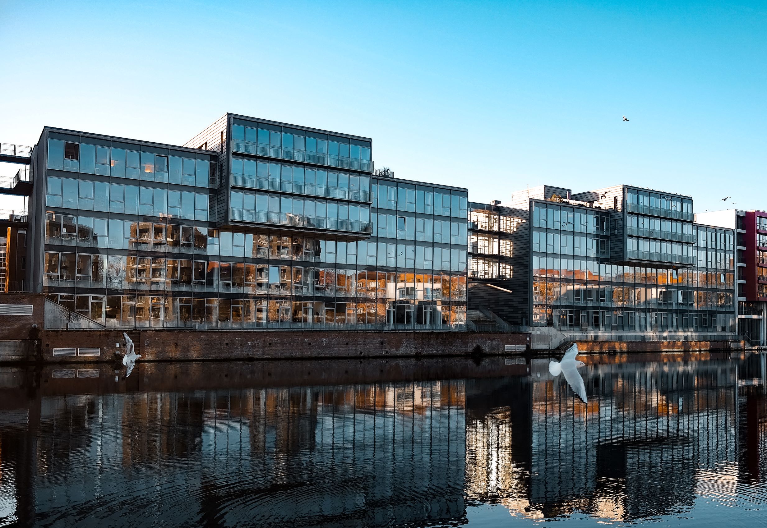 Gebäude der Stiftung am Kanal mit Möven